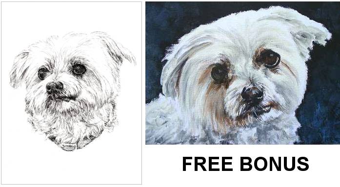 free pet portraits