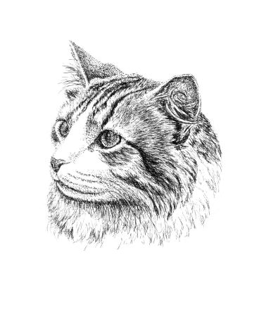 ink cat portraits
