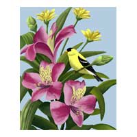 bird and flower art