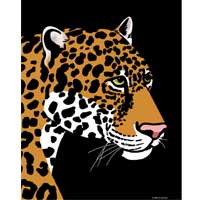 jaguar wildlife art prints