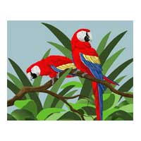 red macaws