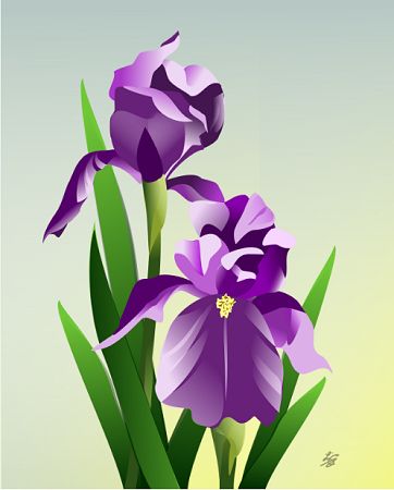 bearded iris art