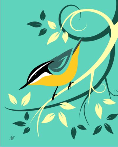 red breasted nuthatch art