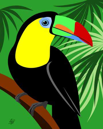 toucan art