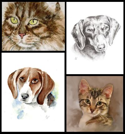 pet portraits