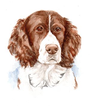 watercolor dog portraits