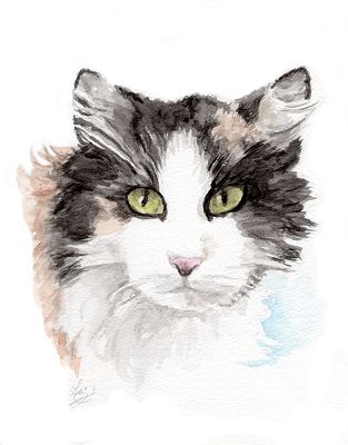 cat watercolor portrait
