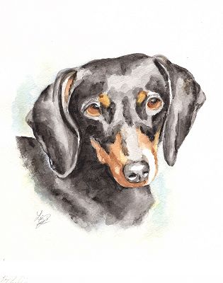 Dachshund watercolor art
