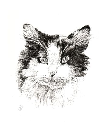 Calico cat art