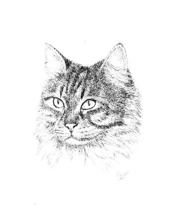cat art