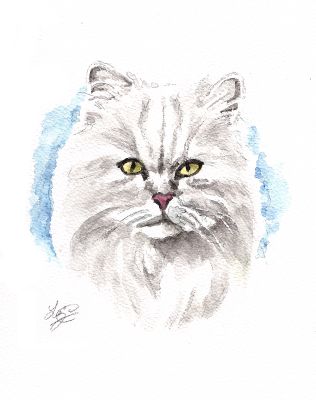 Persian cat art