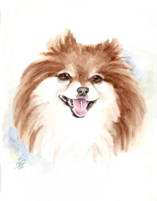 Pomeranian watercolor dog art
